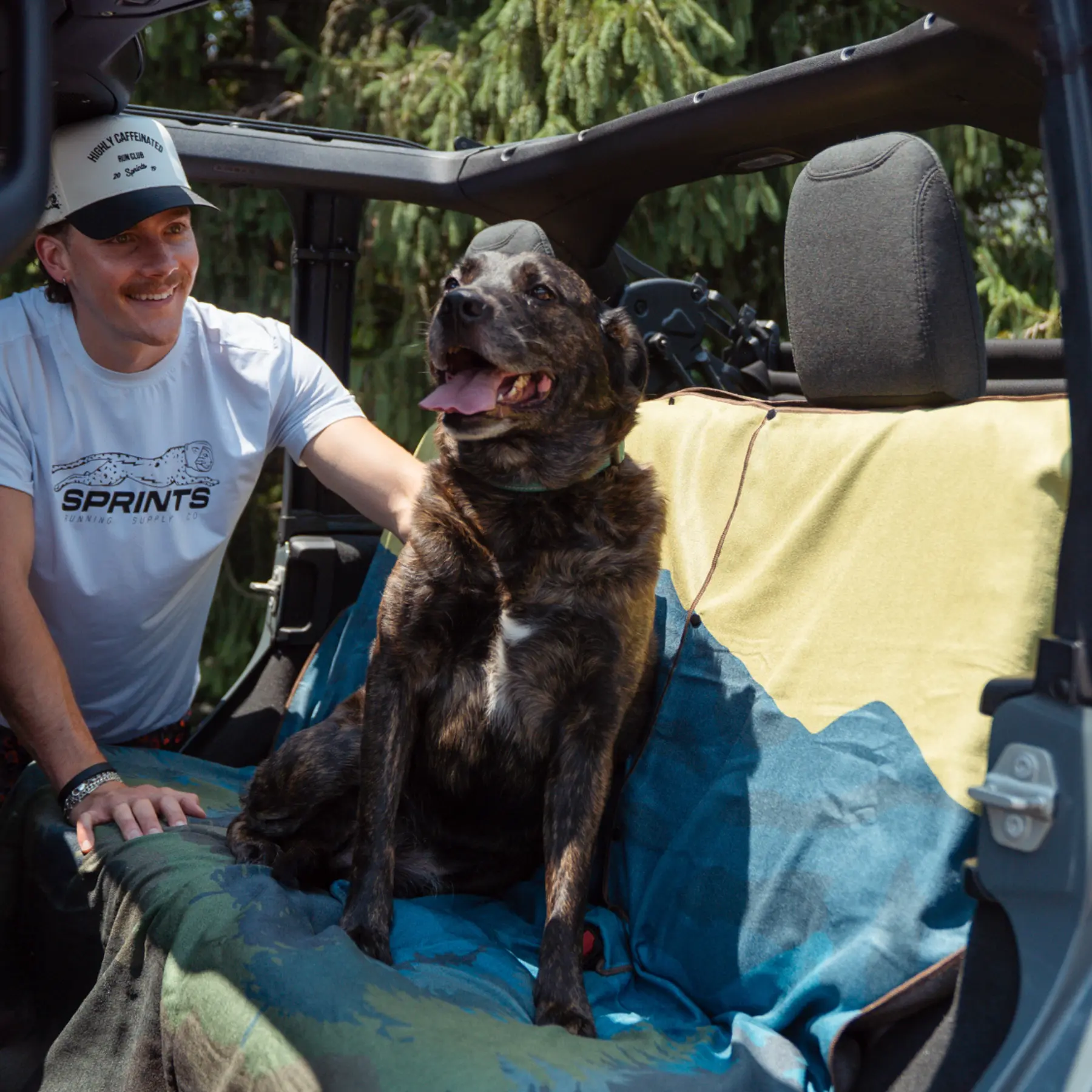 Dog sitting on a Sprints Bench Seat Cover Towel across the back seat of a Jeep